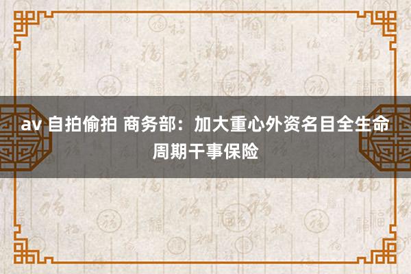 av 自拍偷拍 商务部：加大重心外资名目全生命周期干事保险