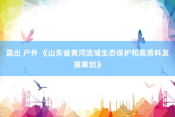 露出 户外 《山东省黄河流域生态保护和高质料发展筹划》