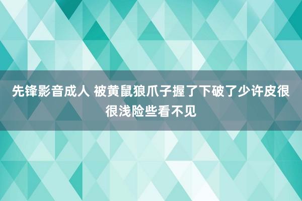 先锋影音成人 被黄鼠狼爪子握了下破了少许皮很很浅险些看不见