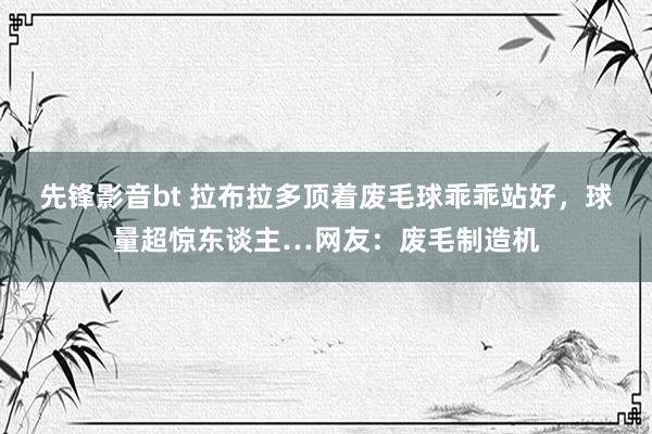 先锋影音bt 拉布拉多顶着废毛球乖乖站好，球量超惊东谈主…网友：废毛制造机