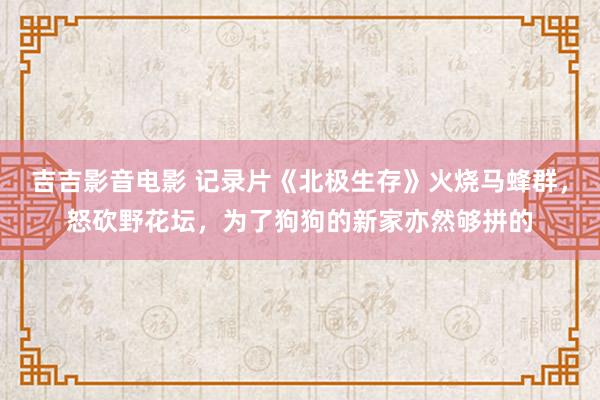 吉吉影音电影 记录片《北极生存》火烧马蜂群，怒砍野花坛，为了狗狗的新家亦然够拼的